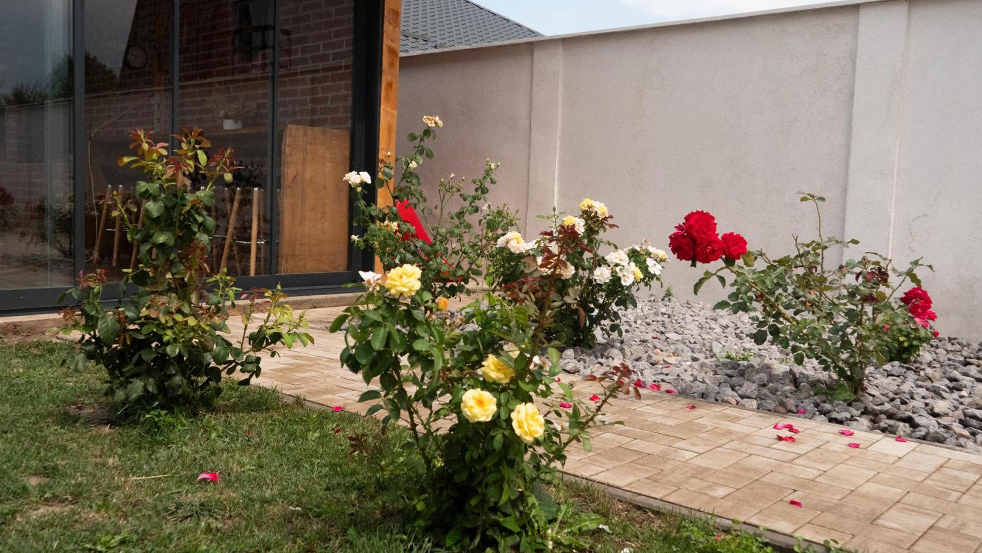 Casa Lucan Braşov Buitenkant foto